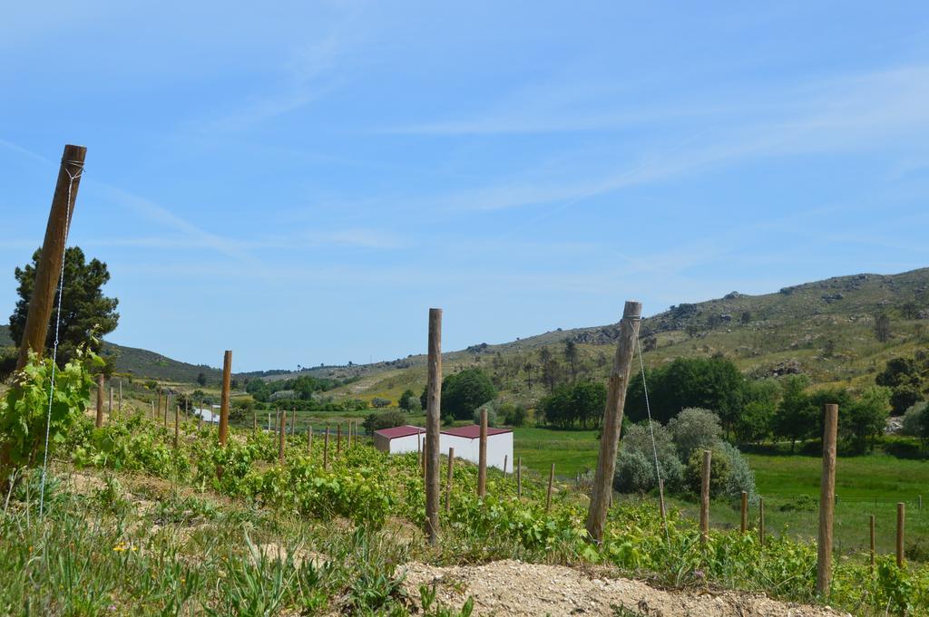 Quinta Vale Da Prata Villa Celorico Da Beira Eksteriør bilde