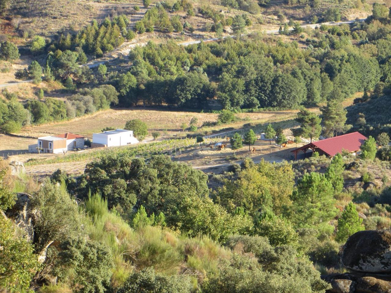 Quinta Vale Da Prata Villa Celorico Da Beira Eksteriør bilde